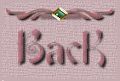 Back Button